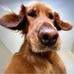 Profile Picture of Jason England (@jason.england.54) on Facebook