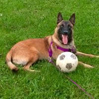 Profile Picture of James LeGasse (@jameslegasse) on Pinterest