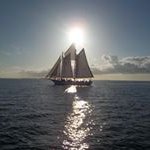 Profile Picture of Debbie Halverson Vento (@dvento1) on Instagram