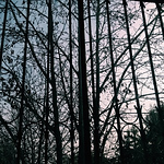 Profile Picture of Eileen Andrade (@leenkrishna) on Flickr