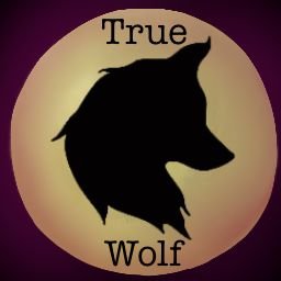 Profile Picture of Ryan Masters (@TrueWolfGamer) on Twitter