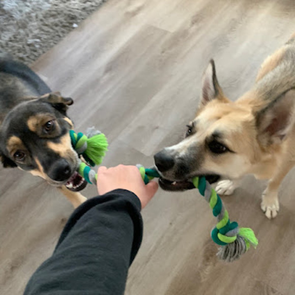 Profile Picture of Sophia Shilen (@sophia_shilen) on Poshmark