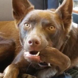 Profile Picture of Robert Wakefield (@Robcrazy72) on Twitter