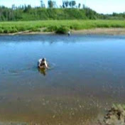 Profile Picture of Mark Wisner (@alaska113) on Youtube