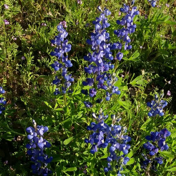 Profile Picture of Draya Garcia (@drayag89) on Poshmark