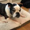 Profile Picture of danielletavo (@danielletavo) on Tiktok