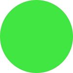 Profile Picture of BRIAN CALOYANNIDES (@bcaloyannides) on Instagram