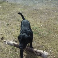 Profile Picture of Allen Marrs (@allen-marrs) on Quora