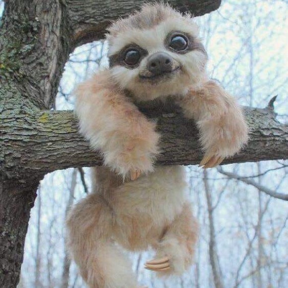 Profile Picture of Paulino Zaragoza (@twistedpato) on Poshmark