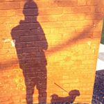 Profile Picture of Domenico Leccacorvi (@doms_dog_walking) on Instagram