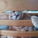 Profile Picture of Bob Rieben (@bobrieben) on Pinterest