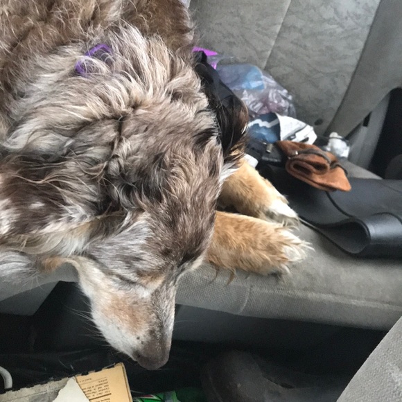 Profile Picture of Cyn Prusakiewicz (@cynprus) on Poshmark