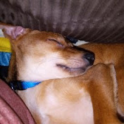 Profile Picture of Eli Fleming (@elifleming5932) on Youtube