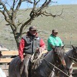 Profile Picture of Brock Palmer (@palmerbrock) on Instagram