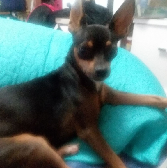 Profile Picture of Victoria Reynolds (@vickielynn1959) on Poshmark