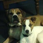 Profile Picture of Tracy Lynn Sisson-Maher (@mariah0731) on Instagram