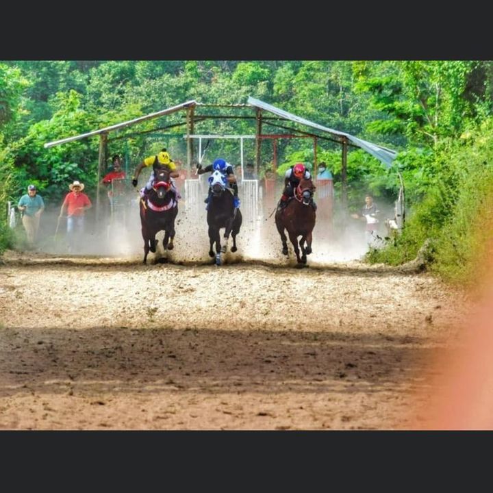 Carreras de Caballos 🐎 - Tiktok Profile Picture of Carreras de Caballos 🐎 (@carrerasdcaballo1) on Tiktok