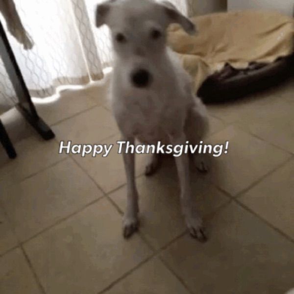 Profile Picture of Daniel Maal (@danimaal) on Tiktok