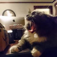 Profile Picture of Adam Winkler (@adam-winkler-15) on Quora