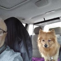 Profile Picture of Robert Lennie (@robert-lennie-2) on Quora