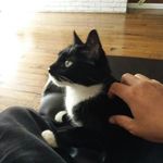 Profile Picture of Chris A Saiz (@chrisasaiz) on Instagram