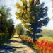 Profile Picture of Joseph Cross (@josephecross7) on Pinterest