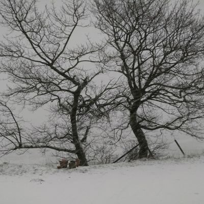 Profile Picture of Dawn Hindle (@HindleDawn) on Twitter