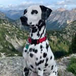 Profile Picture of Percy King Roberts (@percypants) on Instagram