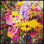 Profile Picture of Kenneth Garza (@raventigori) on Instagram