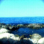 Profile Picture of mohamed shennib (@mohamedshennib) on Instagram