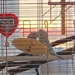 Profile Picture of Joyce Delorme (@Joyce-Delorme) on Facebook