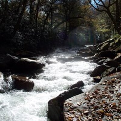 Profile Picture of Randall Chance (@xztqmx) on Twitter