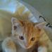 Profile Picture of Peter Ørum (@Peter-Ørum) on Facebook