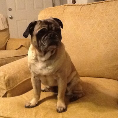 Profile Picture of Joel Henderson (@Sweetjohn96) on Twitter