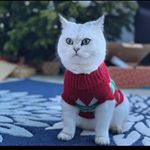 Profile Picture of karl lindberg (@karl_.lindberg) on Instagram