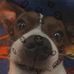 Profile Picture of Adam Schatz (@adam.schatz.923) on Facebook