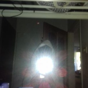 Profile Picture of Marcus Dillard (@marcussdillard) on Twitter