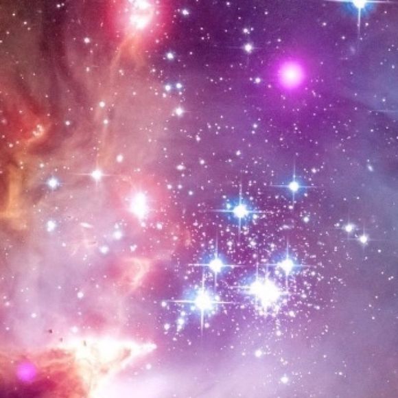 Profile Picture of Fetus Blesser (@fetusblesser) on Poshmark