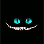 Profile Picture of Lilli Miller (@lillers_millers) on Instagram