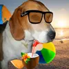 Profile Picture of Peter Tobias (@nat0._) on Tiktok