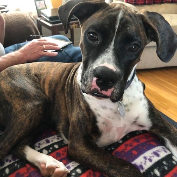 Profile Picture of Stephanie Marcom (@fafakachacha44) on Poshmark