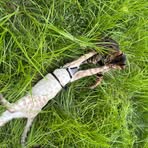 Profile Picture of Jacob Kalista (@Jacob-Kalista) on Facebook