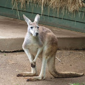 Profile Picture of Edward Fuentes (@edwardfuentes2715) on Youtube