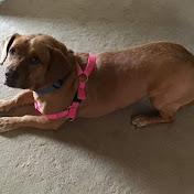 Profile Picture of Austin “James” Colson (@austincolson4555) on Youtube