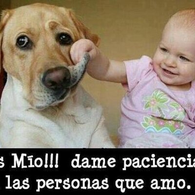 Profile Picture of Jose Hueso (@josehueso1) on Twitter