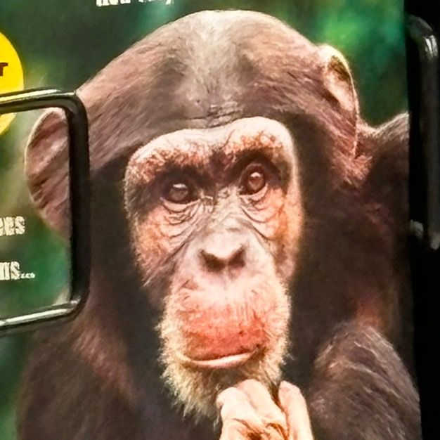 Profile Picture of leeney (@leeney) on Tiktok