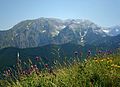Profile Picture of Maiella National Parkon Wikipedia