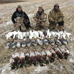 Profile Picture of Tony Petersen (@tony.petersen.77) on Instagram