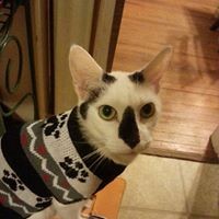 Mandy Oliver Maxwell - Quora Profile Picture of Mandy Oliver Maxwell (@mandy-oliver-maxwell) on Quora