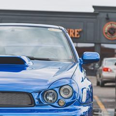 Profile Picture of Paul Martell (@paulmartell0) on Tiktok